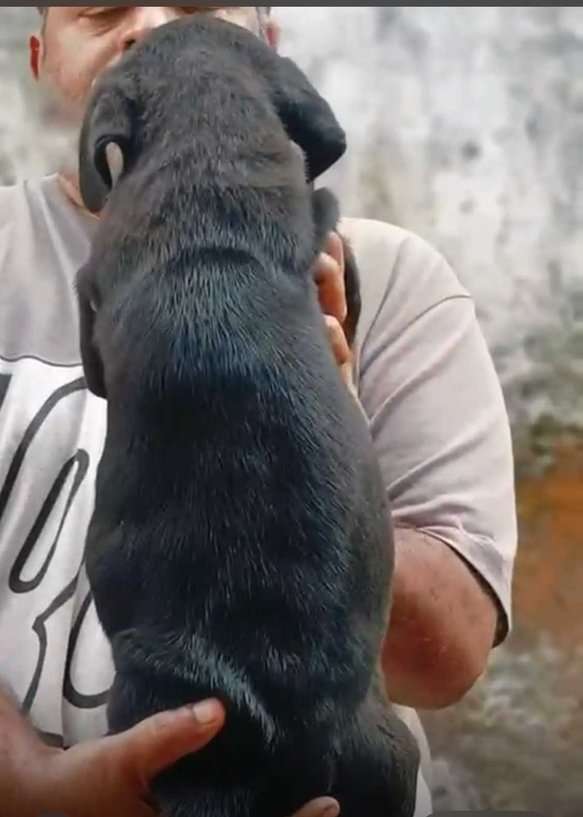 Mr n Mrs Pet