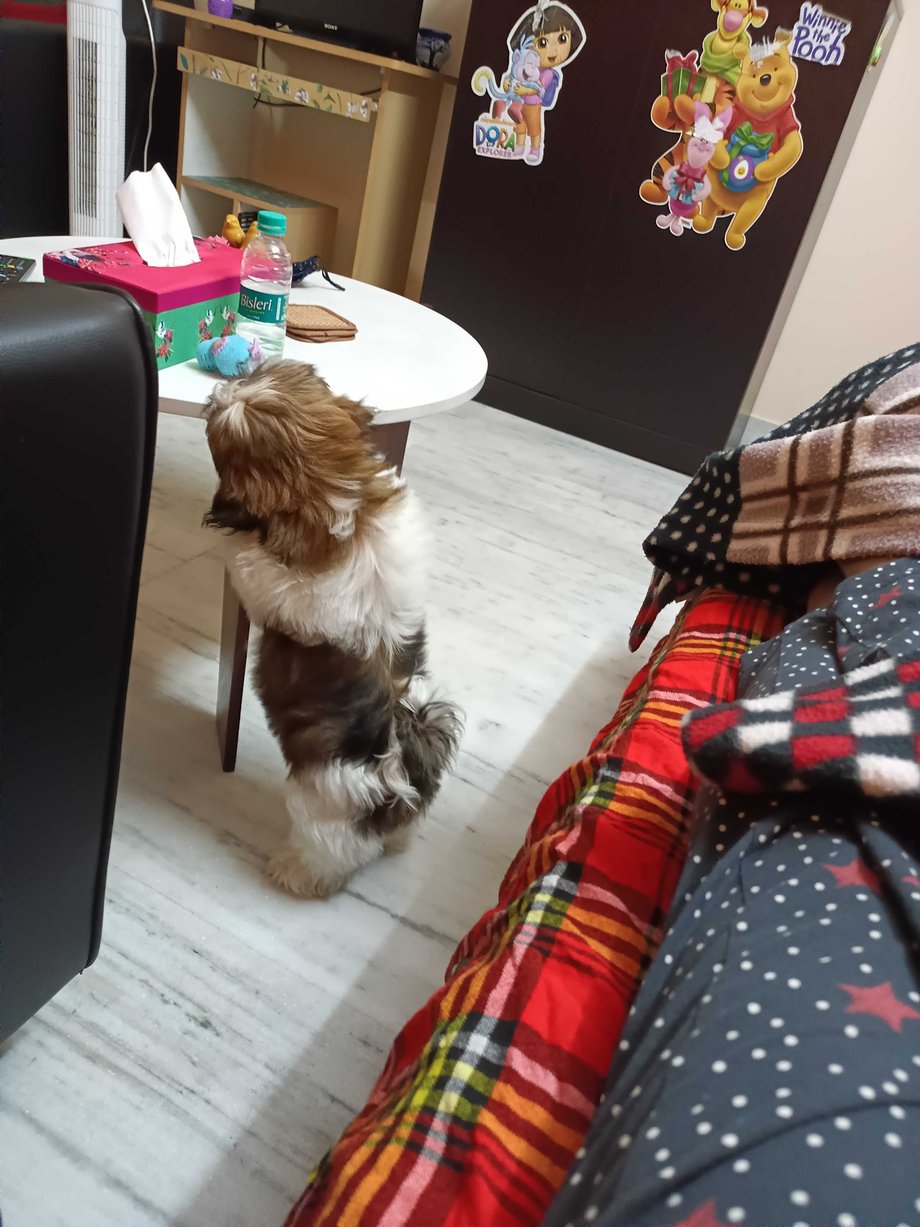 Mr n Mrs Pet
