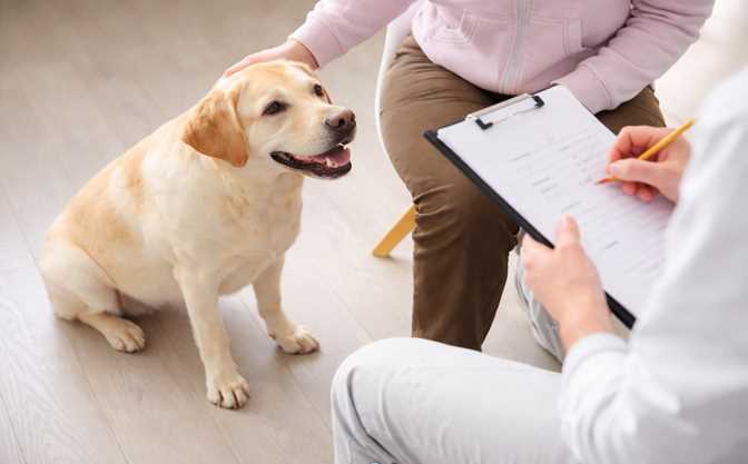 Why Is Pet Registration Important in India, and How to Register Your Pet