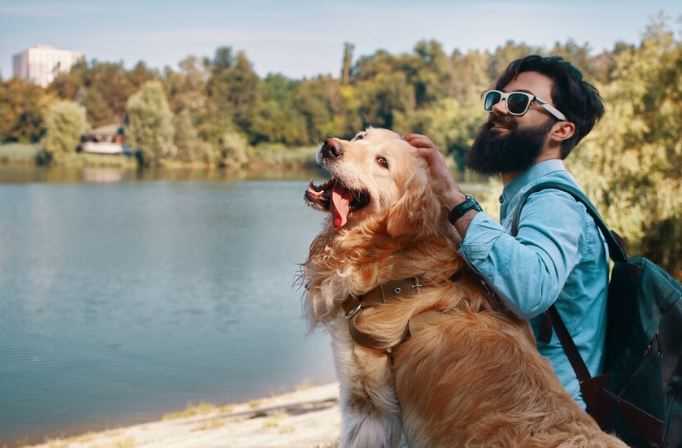 Must-Know Pet-Friendly Travel Safety Tips during Monsoon