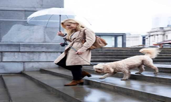 Must-Know Pet-Friendly Travel Safety Tips during Monsoon