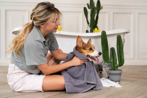 5 Simple Remedies to Treat Dog Skin Allergies at Home Naturally