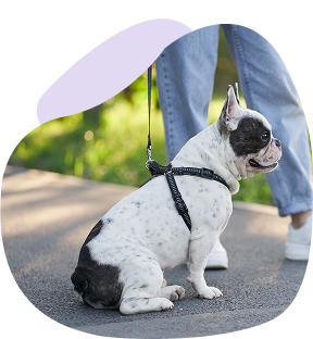 walking hero