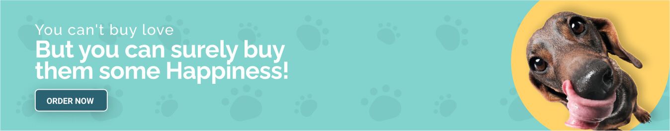 dog-products
