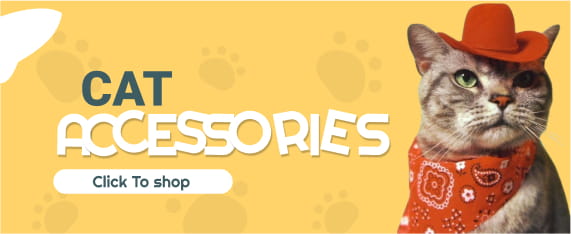 cat-accessories
