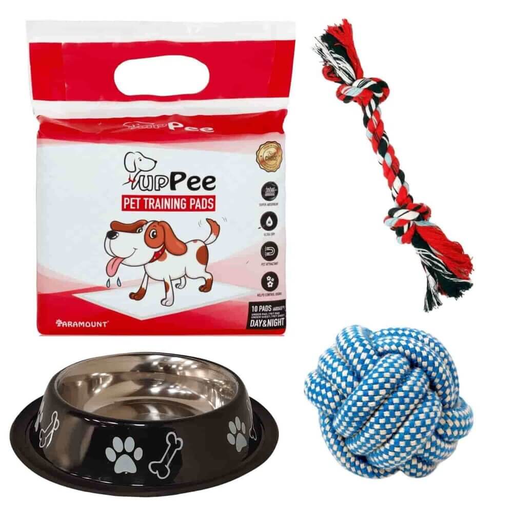 Buy Puppy Must Haves Bowl, Training Pads (Pee Pads), Toys Combo (Pack of 4)